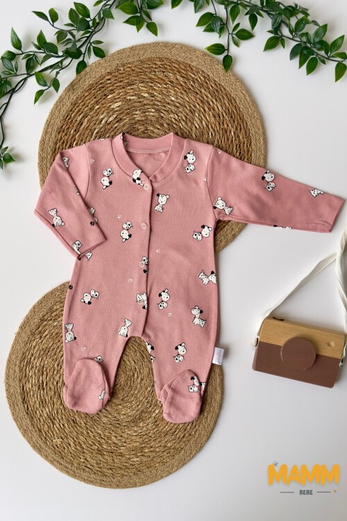 1-3-6 AY KÖPEKCİK DESENLİ PATİKLİ TULUM GÜL KURUSU