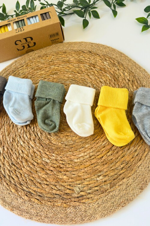 6 RENK KUTULU ÇORAP 1002