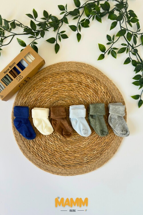 6 RENK KUTULU ÇORAP 1008