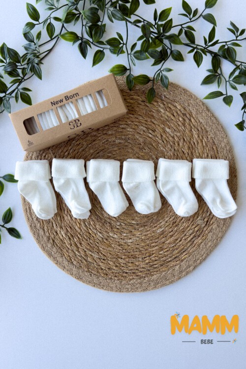 6 RENK KUTULU ÇORAP 1014