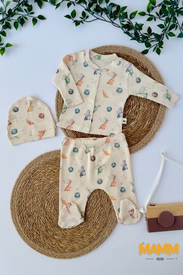 0-3 AY DİNAZOR DESENLİ ÜÇLÜ TAKIM