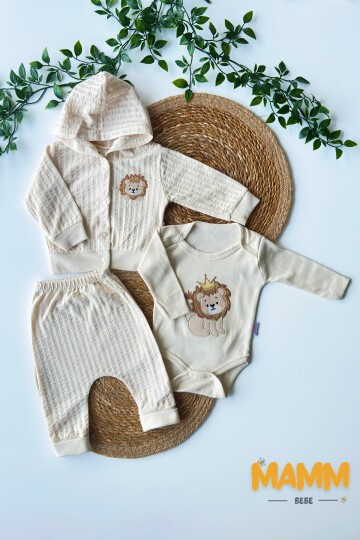 0-9 AY 3LÜ KRAL ASLANLI TAKIM BEJ