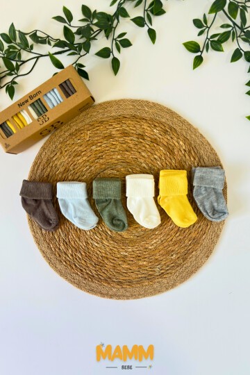 6 RENK KUTULU ÇORAP 1002