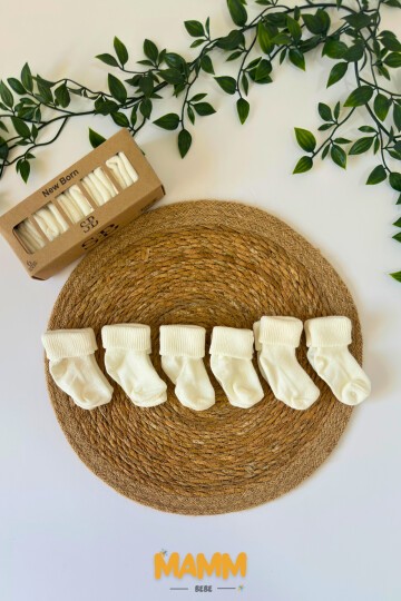 6 RENK KUTULU ÇORAP 1007